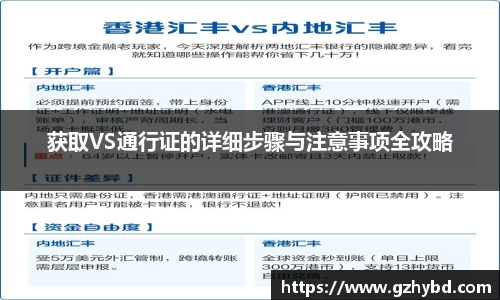 zoty中欧获取VS通行证的详细步骤与注意事项全攻略